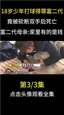 18岁少年打球得罪富二代,竟被砍断双手身亡,其母叫嚣公安局长她都能摆平#篮球#富二代#法律#高中生 (3)